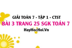 Giải bài 3 trang 25 Toán 7 Tập 1 SGK Chân trời sáng tạo